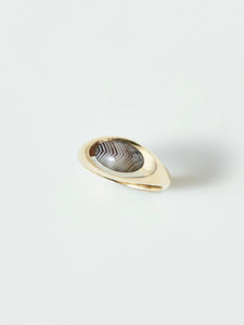 Pia No. 2 Ring with Scottish Agate in 10k Yellow, Size 7