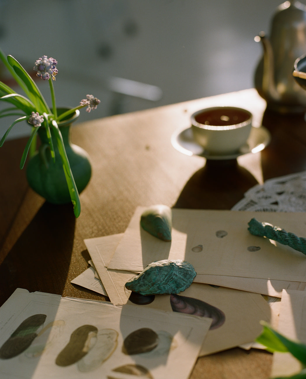 Verdigris Bronze Sea Objects