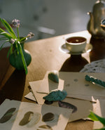 Load image into Gallery viewer, Verdigris Bronze Sea Objects
